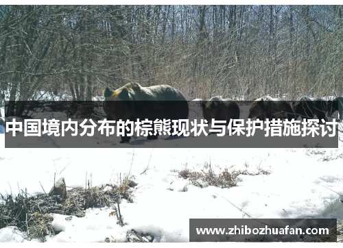 中国境内分布的棕熊现状与保护措施探讨